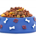 Ver chollos de la categoria Comida para perros