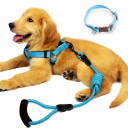 Ver chollos de la categoria Collares y correas para perros