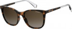 Gafas de Sol Polaroid PLD 4059/S LA 086 - Estilo Elegante para Mujer, Marrón